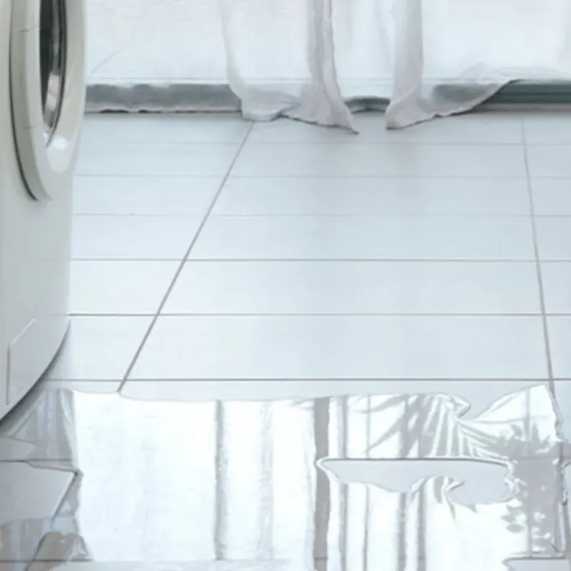 Appliance Leak Cleanup in Windsor, VA