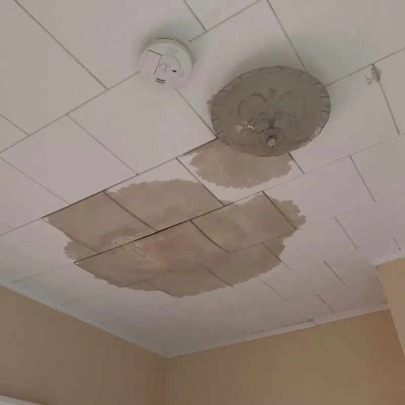 Ceiling Water Damage Repair in Windsor, VA