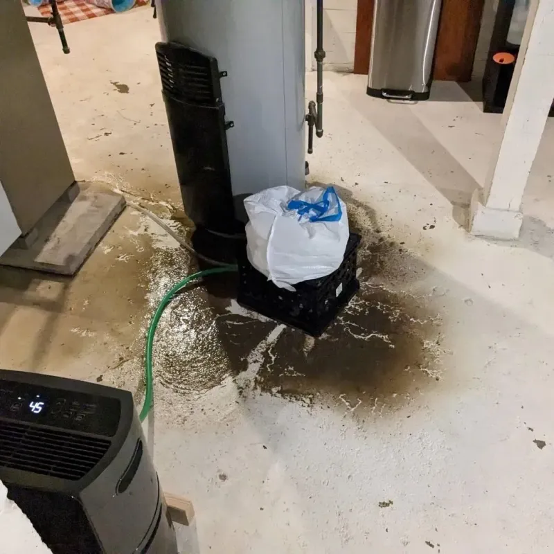 Sewage Backup Cleanup Service in Windsor, VA